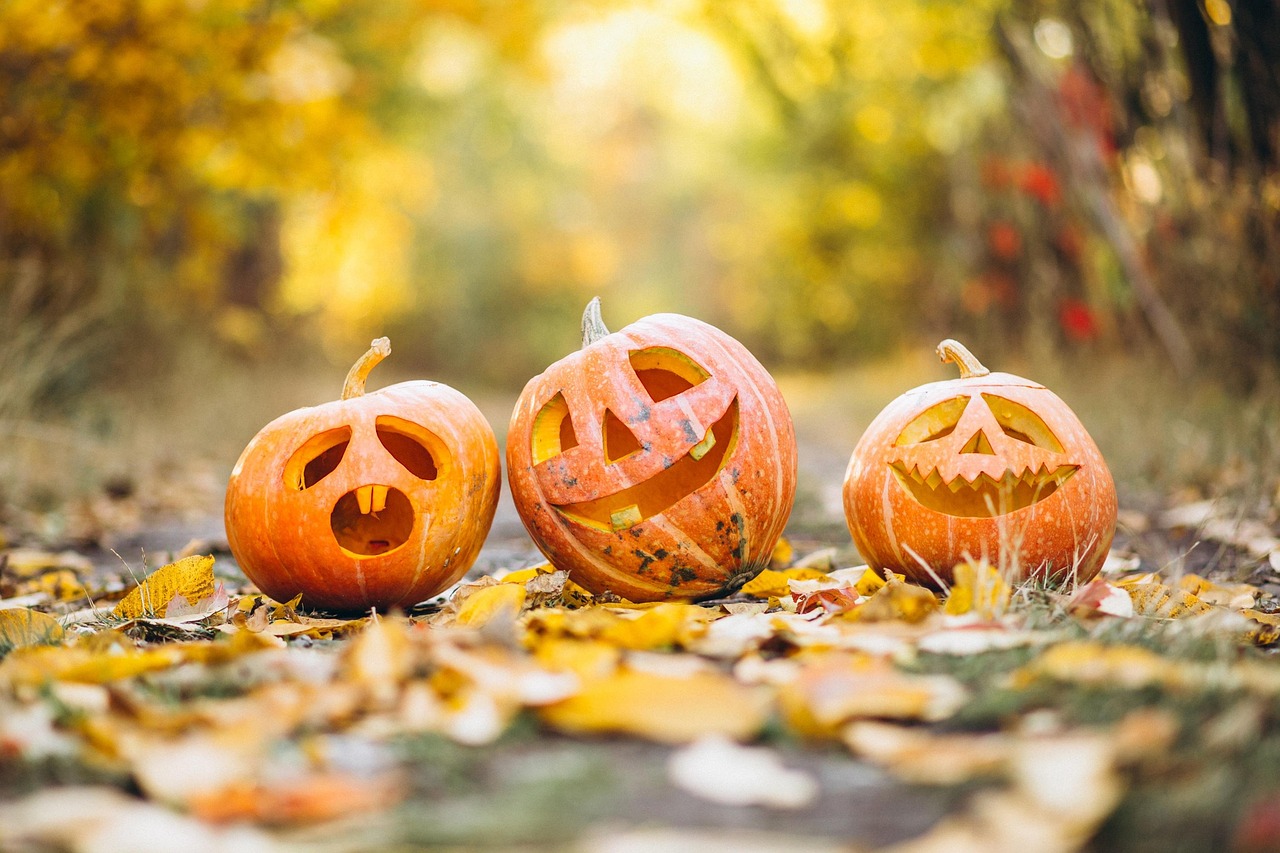 Halloween Decorations